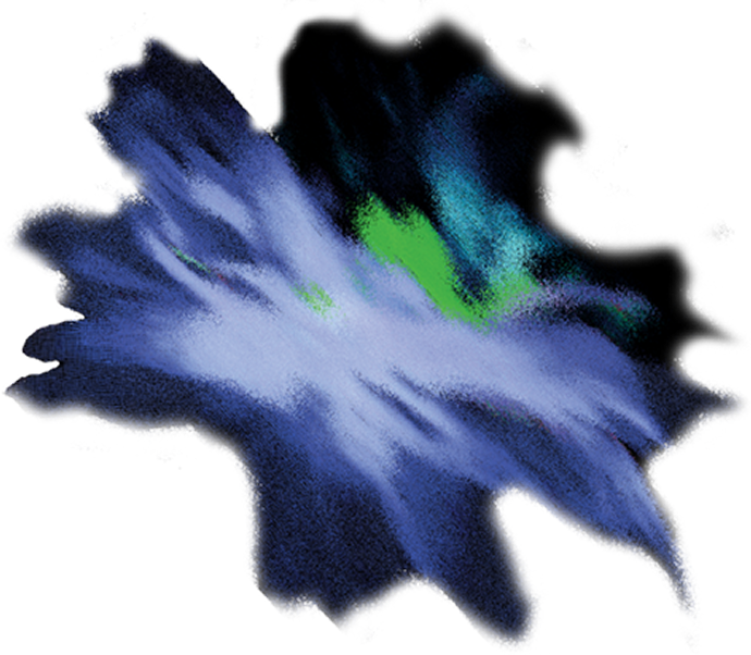 DesignInspire Live Demostration