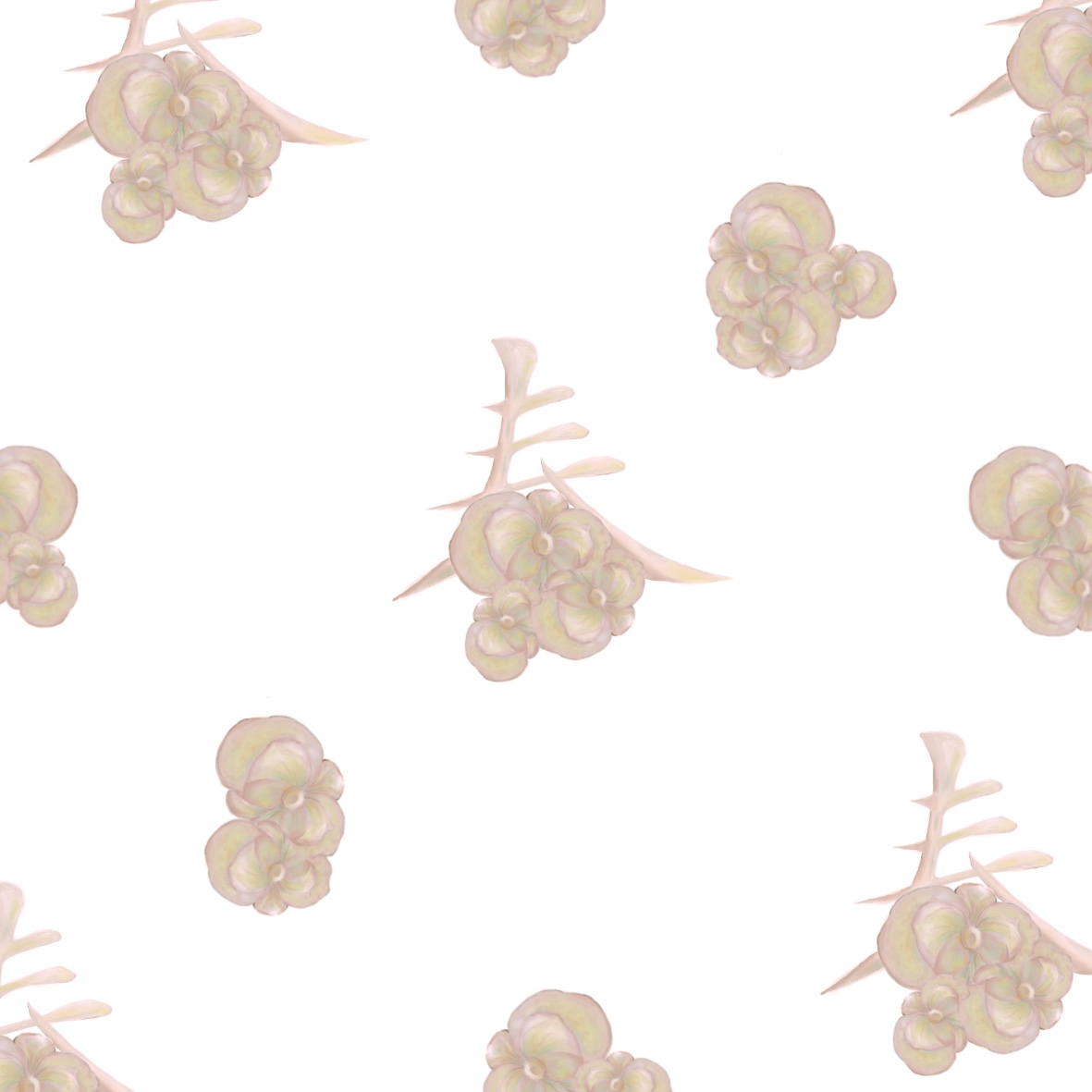 Chin Ho Ching, Eliz - Calligraphy Meets Nature Collection 01