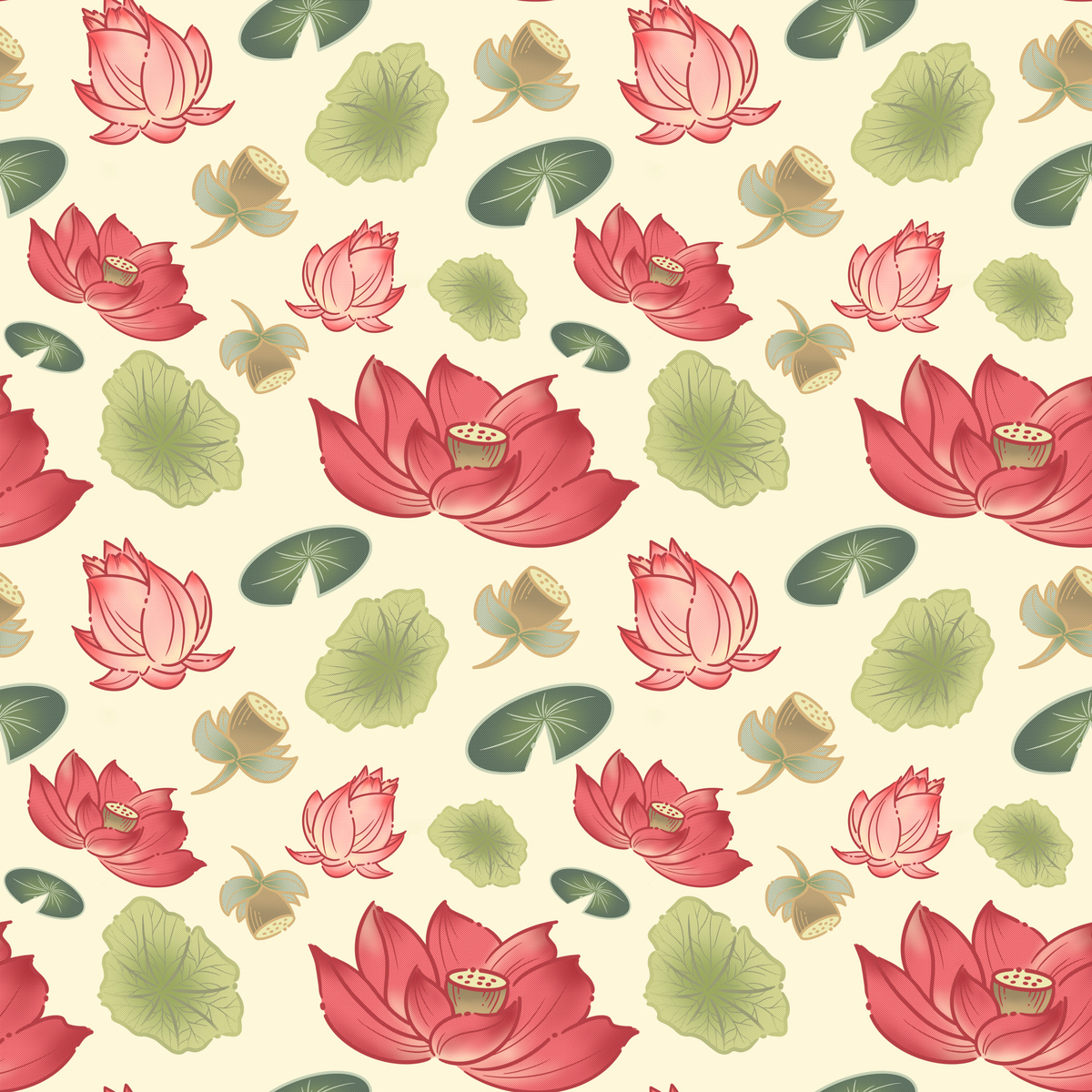 吳焯琳 - 光芒四射 04